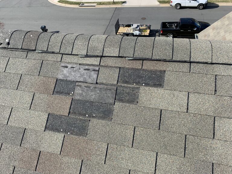Missing Shingles